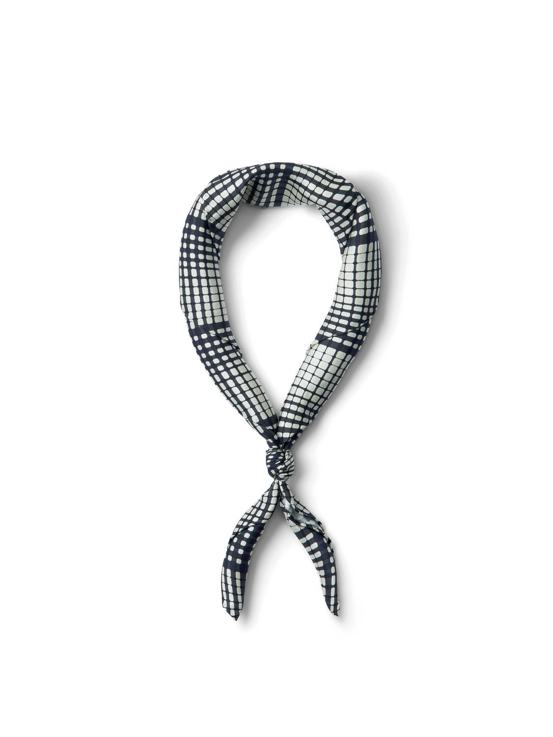 Slwsara Silk Scarf