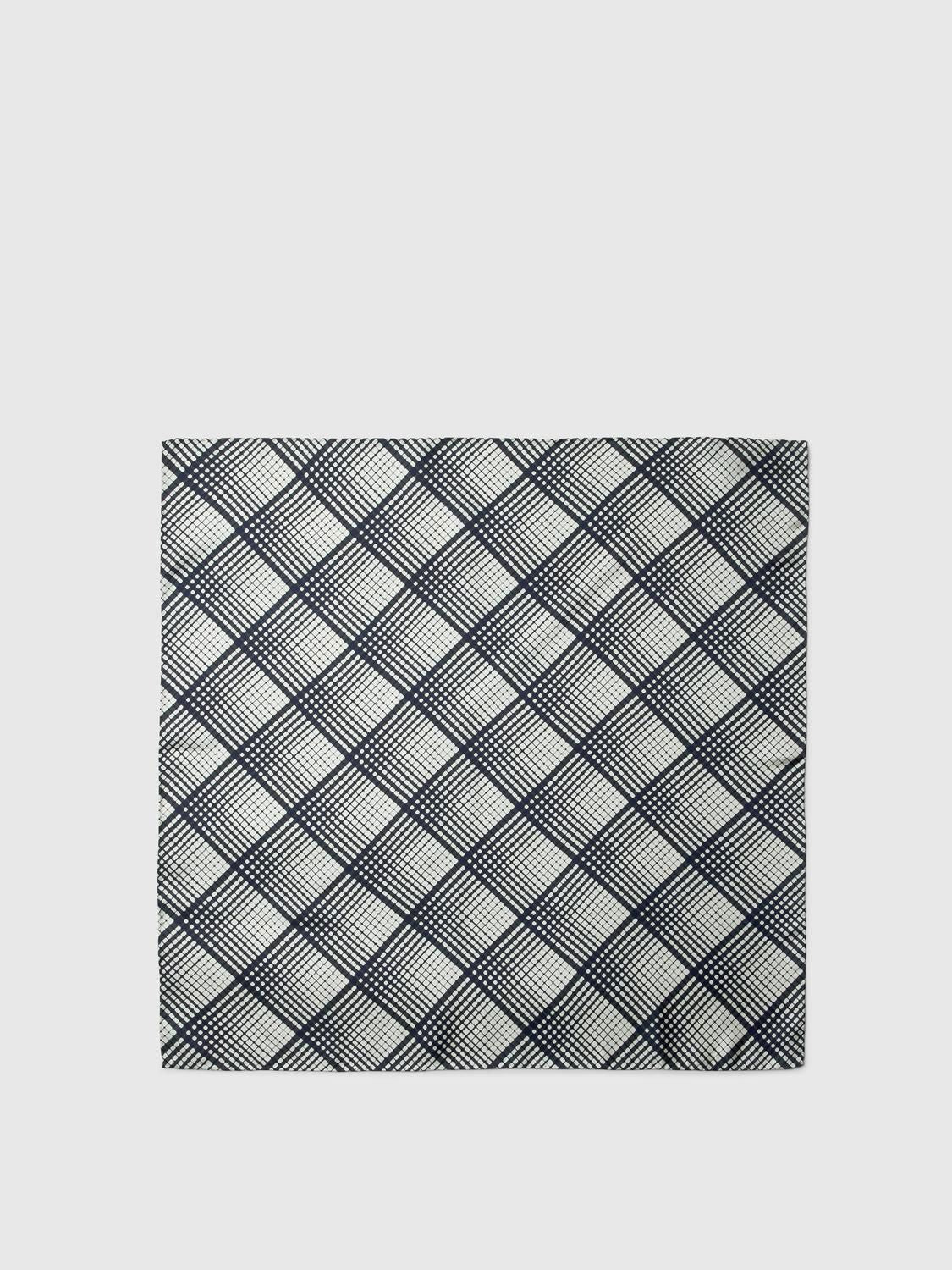 Slwsara Silk Scarf
