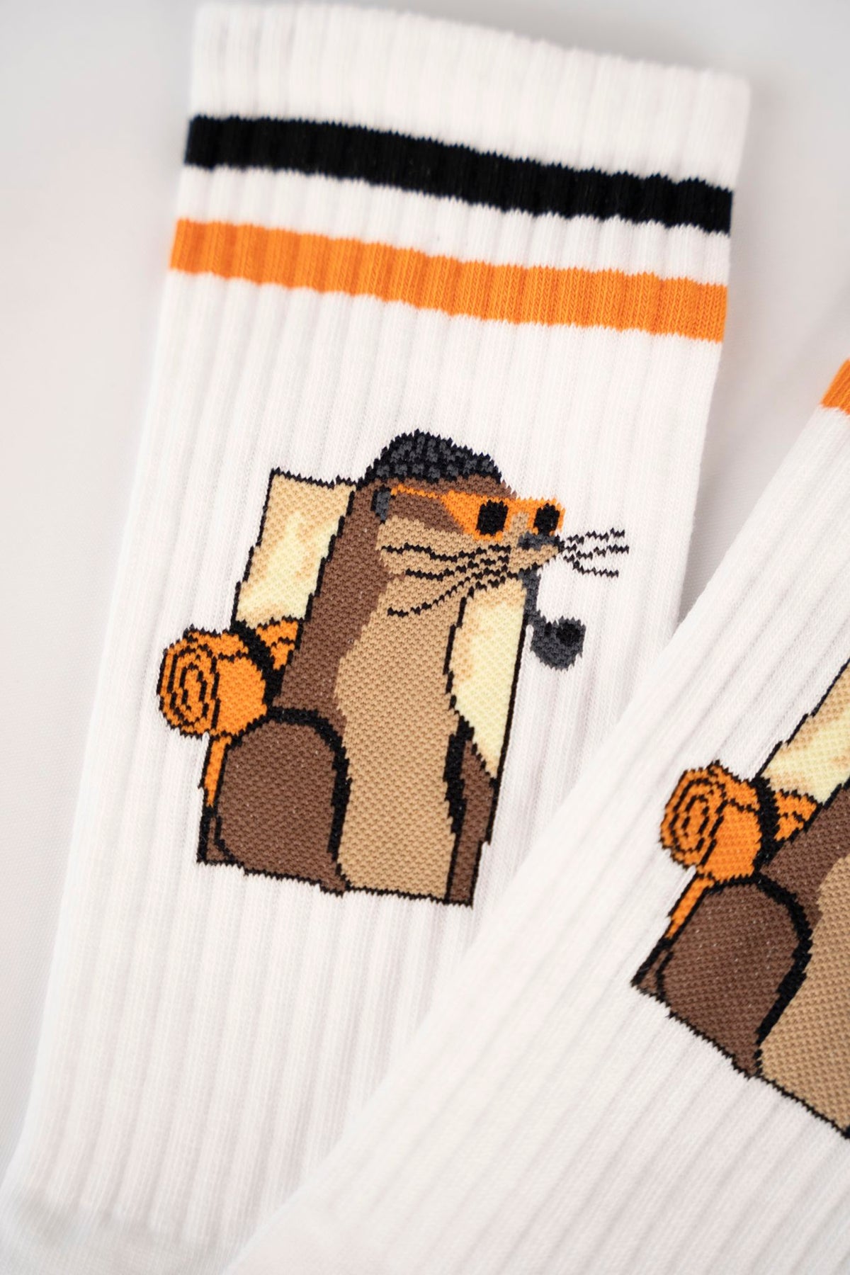 Otter Æxplorer Socks