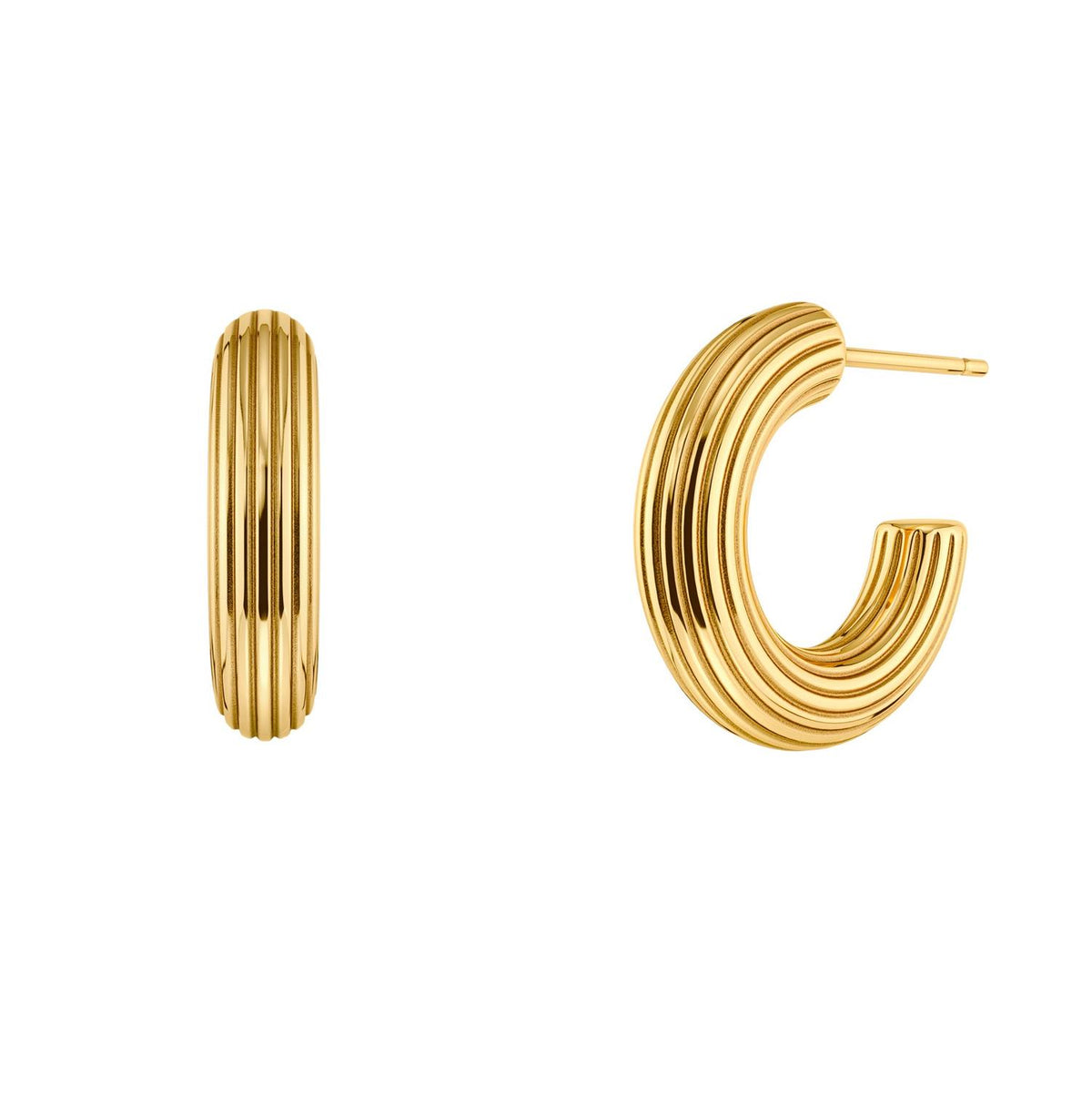Wildern Hoops Gold